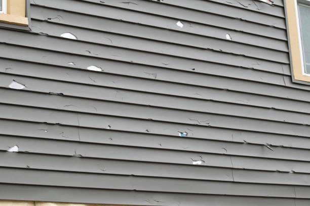 Best Vinyl Siding Installation  in University Park, TX